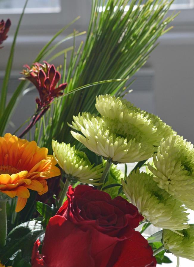 Champ De Foire Bed & Breakfast Sussac Bagian luar foto