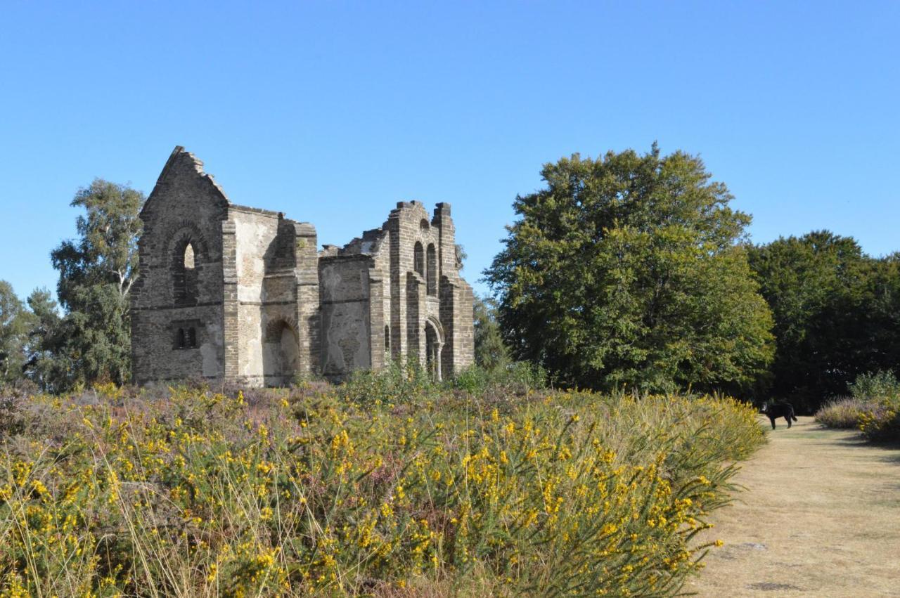 Champ De Foire Bed & Breakfast Sussac Bagian luar foto